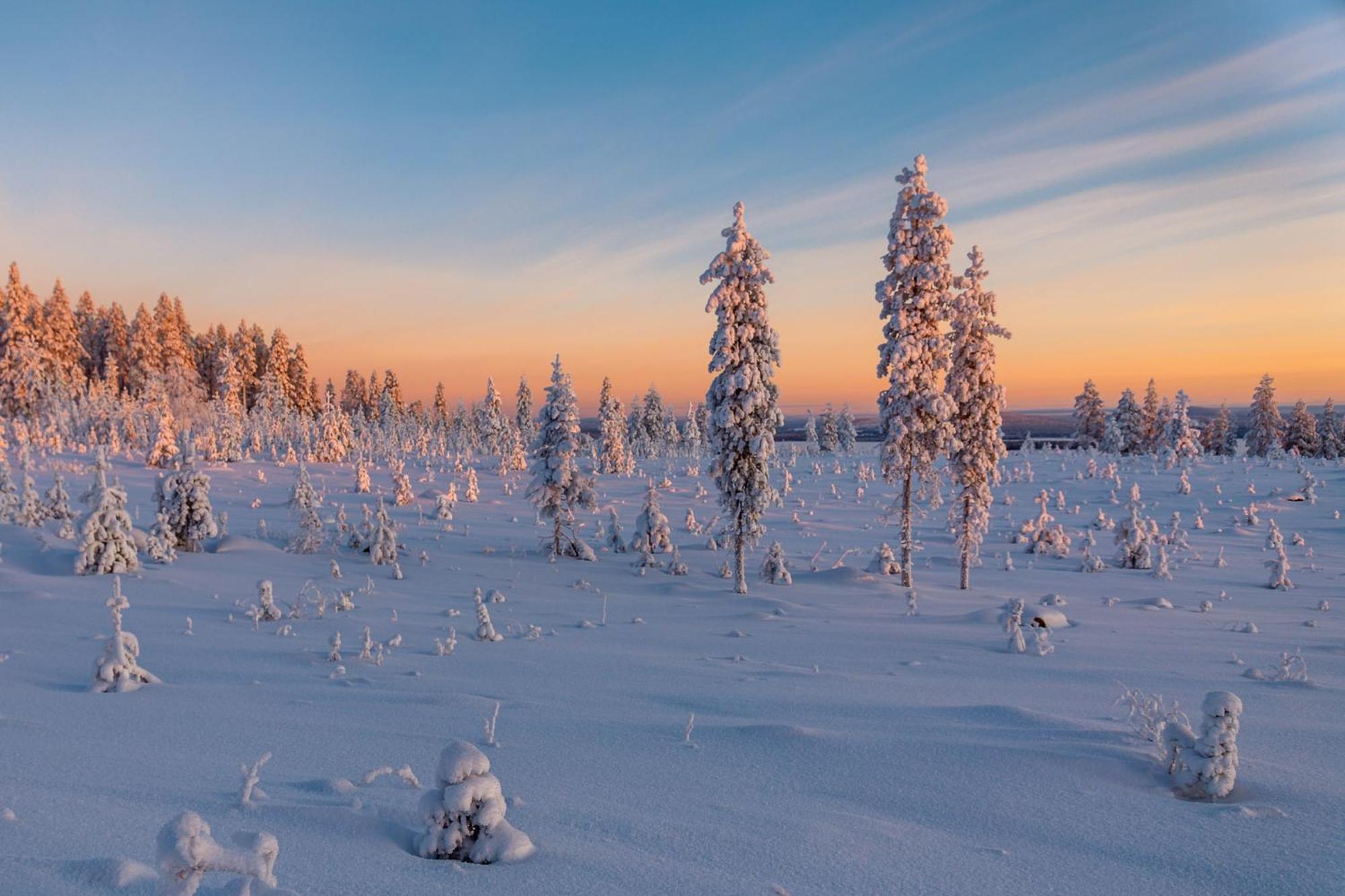 Hotel Mestarin Kievari Kemijärvi Eksteriør bilde